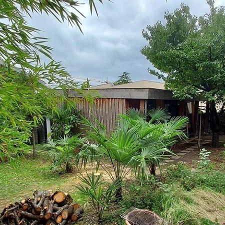 Un Jardin En Ville ตูลูส ภายนอก รูปภาพ