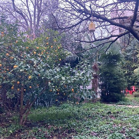 Un Jardin En Ville ตูลูส ภายนอก รูปภาพ