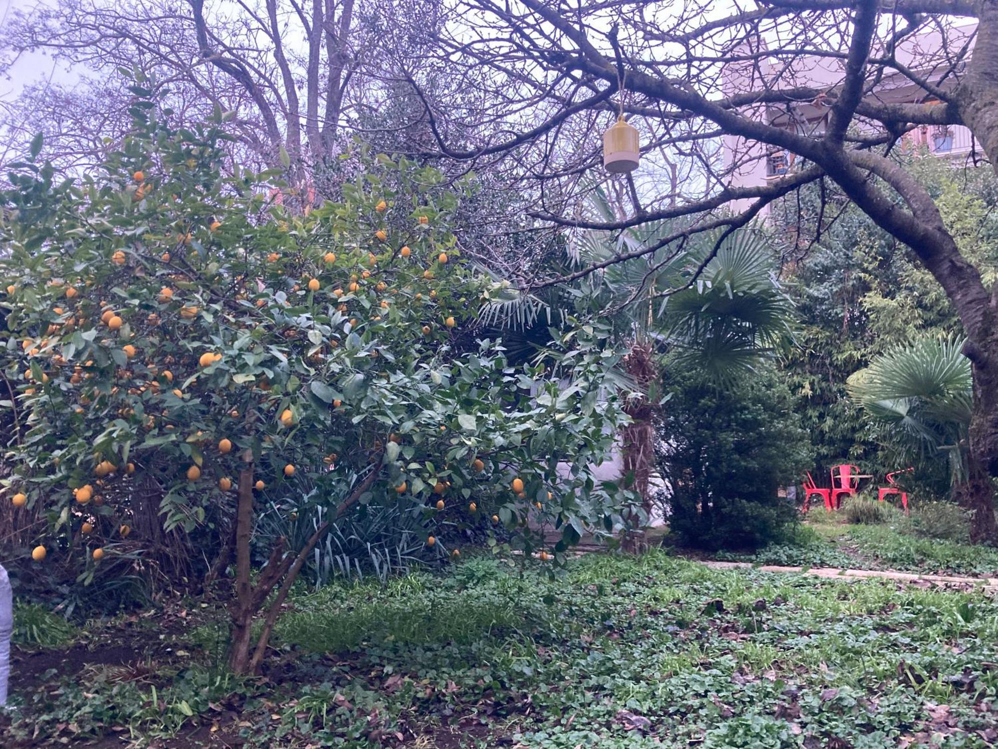 Un Jardin En Ville ตูลูส ภายนอก รูปภาพ